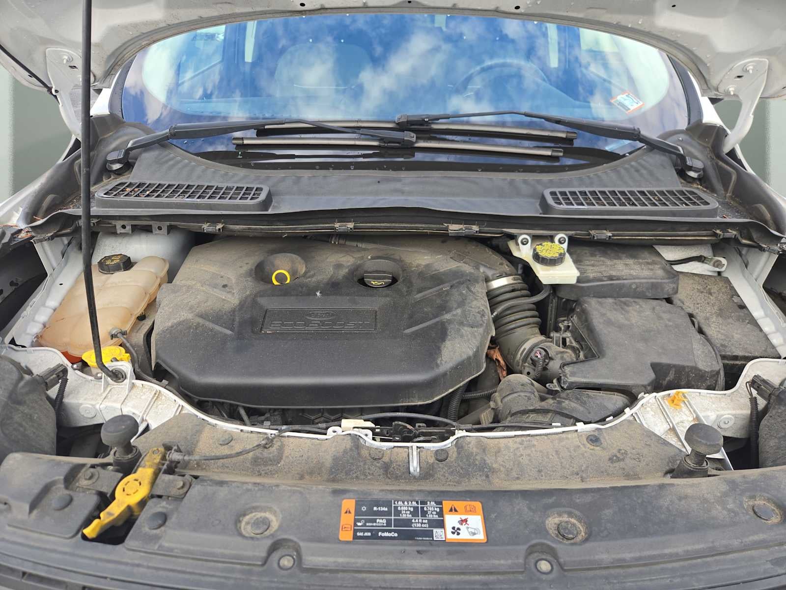 2014 Ford Escape SE