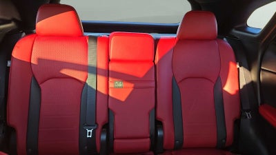 2022 Lexus RX F SPORT Appearance